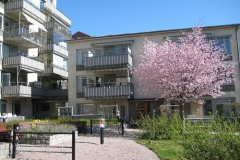 Gården